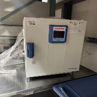 Thermo HERAtherm Incubator image 0